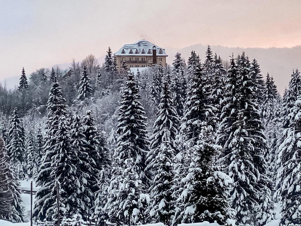 Kamyanka Hotell Mizhhirya  Exteriör bild